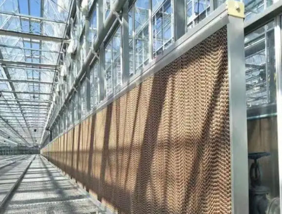 湿帘风机降温系统简析及优点