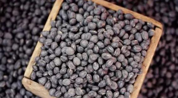 实皆省淡色县区冬季期间种植的黑麦豆已全部